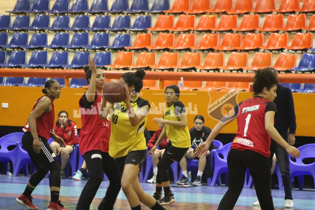 كرة السلة | سيدات الشمس يخسرن امام الاهلي بعد اداء قوي