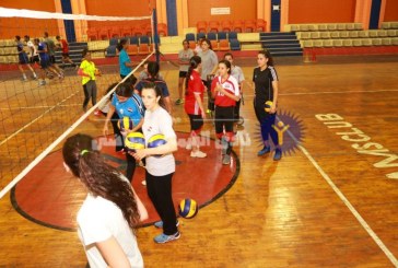 الكرة الطائرة | الفريق الأول يواصل التدريبات استعدادًا للموسم المقبل