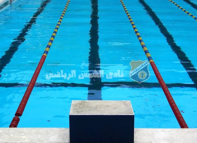 الاحتياجات الخاصة | الشمس يحصد مراكز متقدمة وميداليات متنوعة بكأس مصر للسباحة