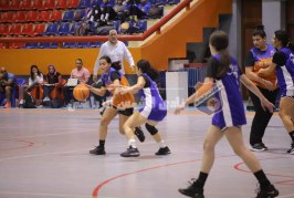 خسارة سيدات السلة وفوز المرتبط أمام مصر للتأمين بدورى المرتبط